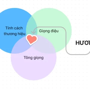 Hương vị của nội dung. Bản sắc của thương hiệu.